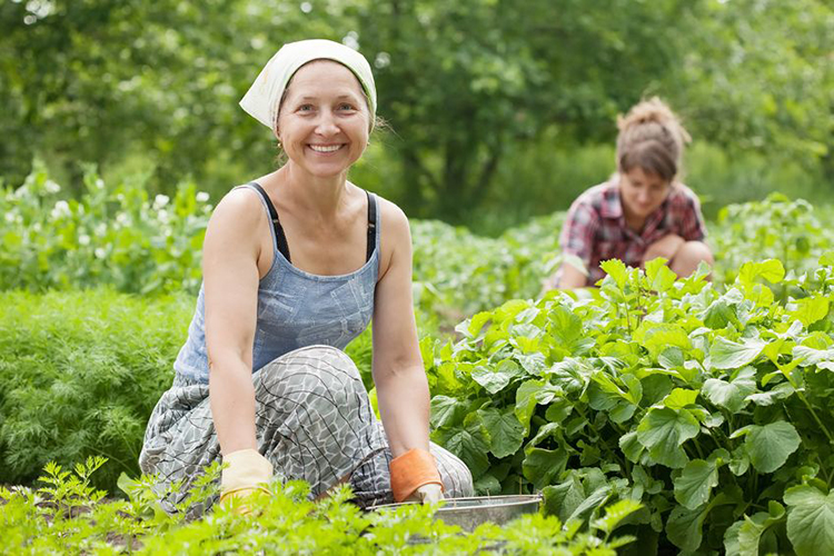 two women working in her vegetable garden